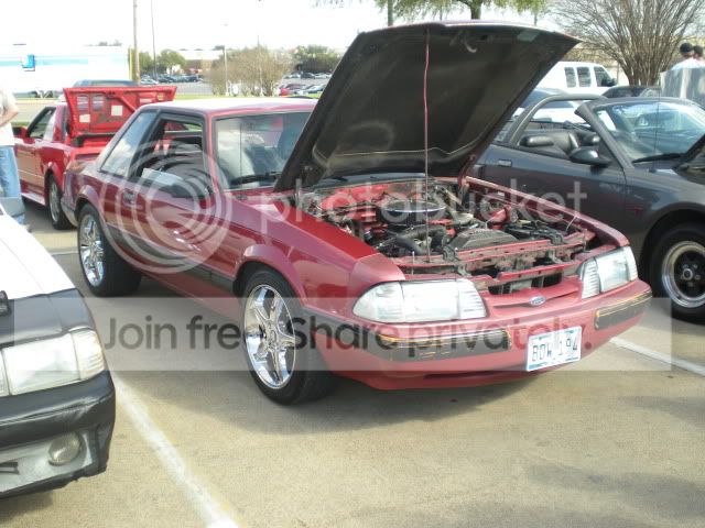 DSCN0909.jpg