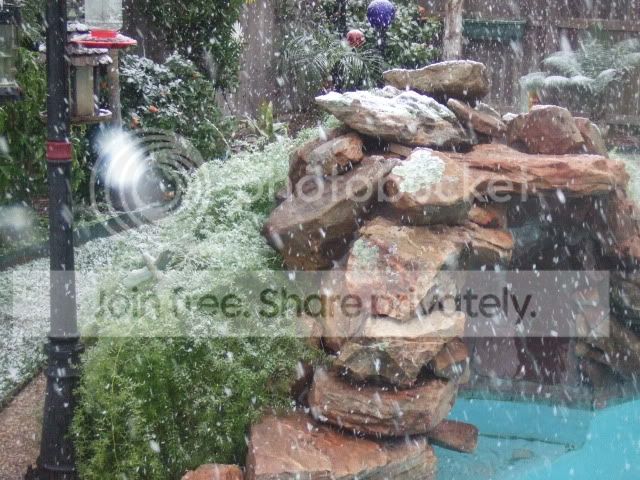 wtfsnow002.jpg