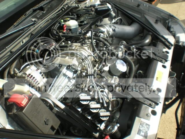 DSCN0903.jpg