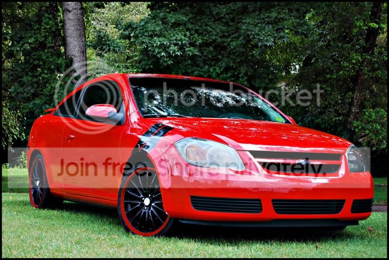 sportlines1.jpg