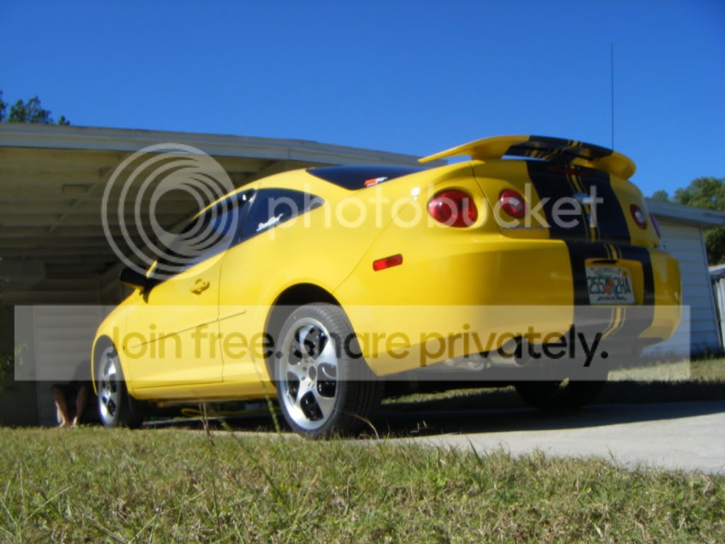paintjob004.jpg