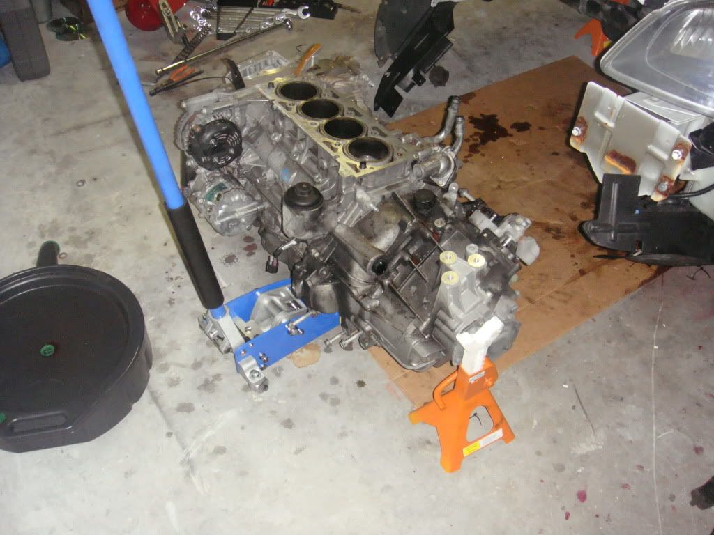 DSC00855.jpg
