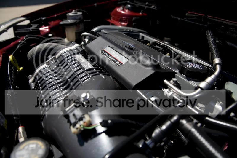 IMG_8979full.jpg