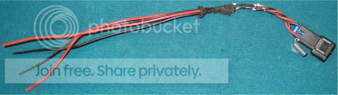 StockHarness.jpg