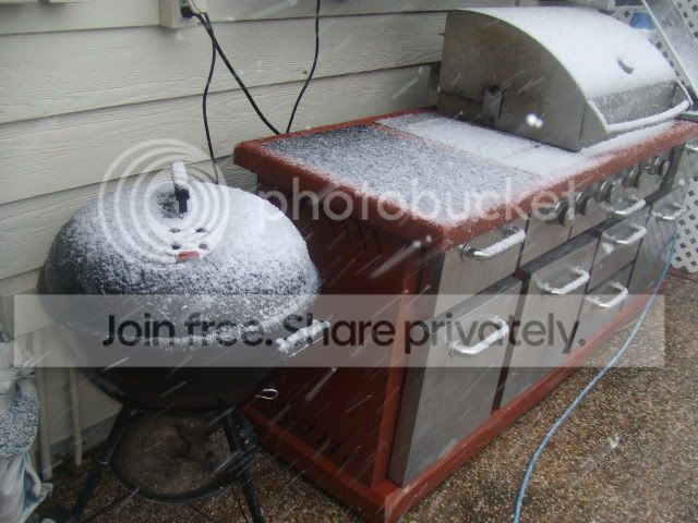 wtfsnow004.jpg