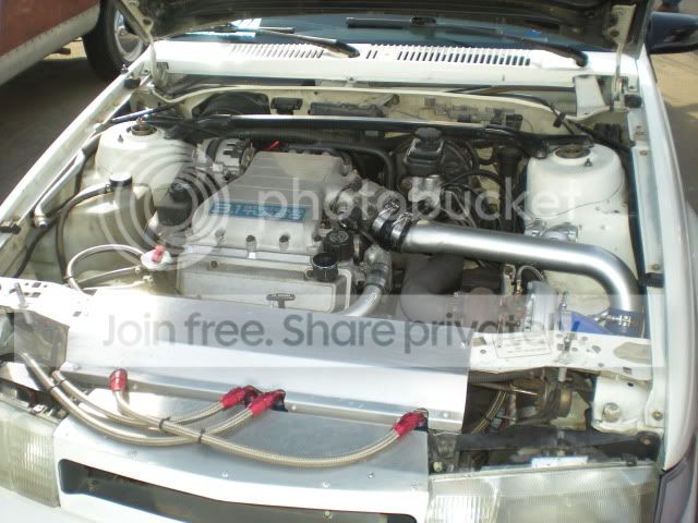 DSCN0917.jpg