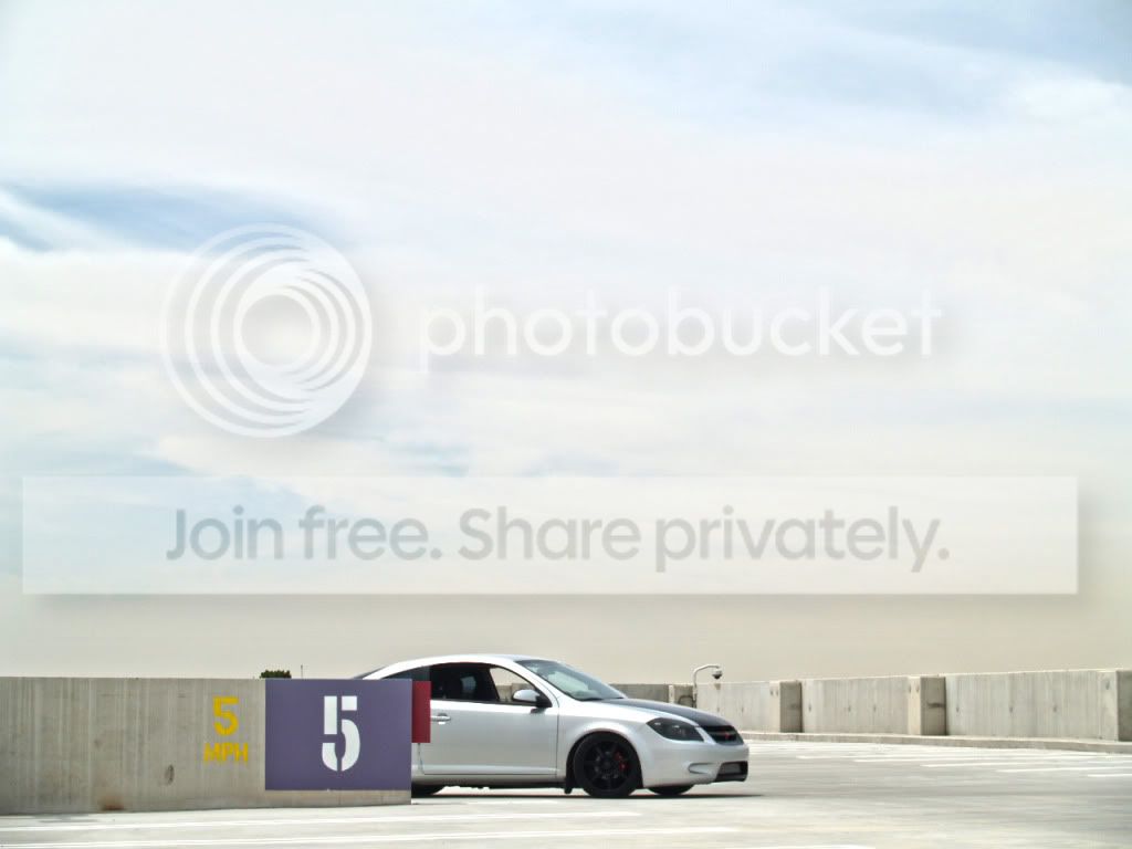 Myshoot009.jpg