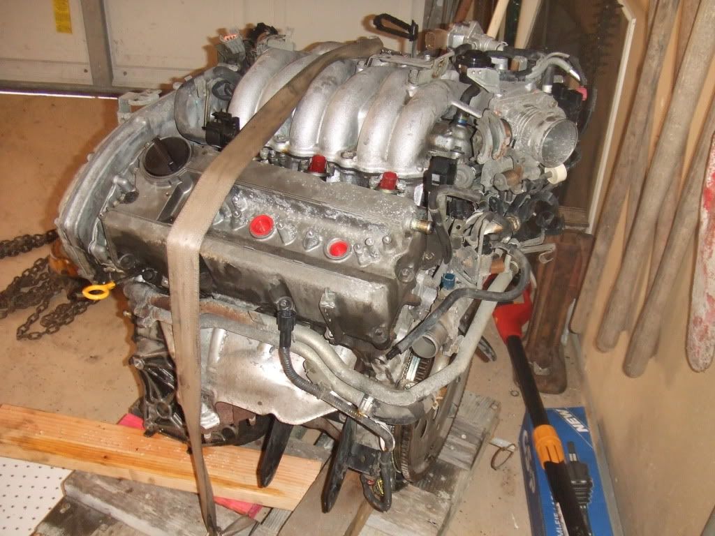 Infintibuild027.jpg