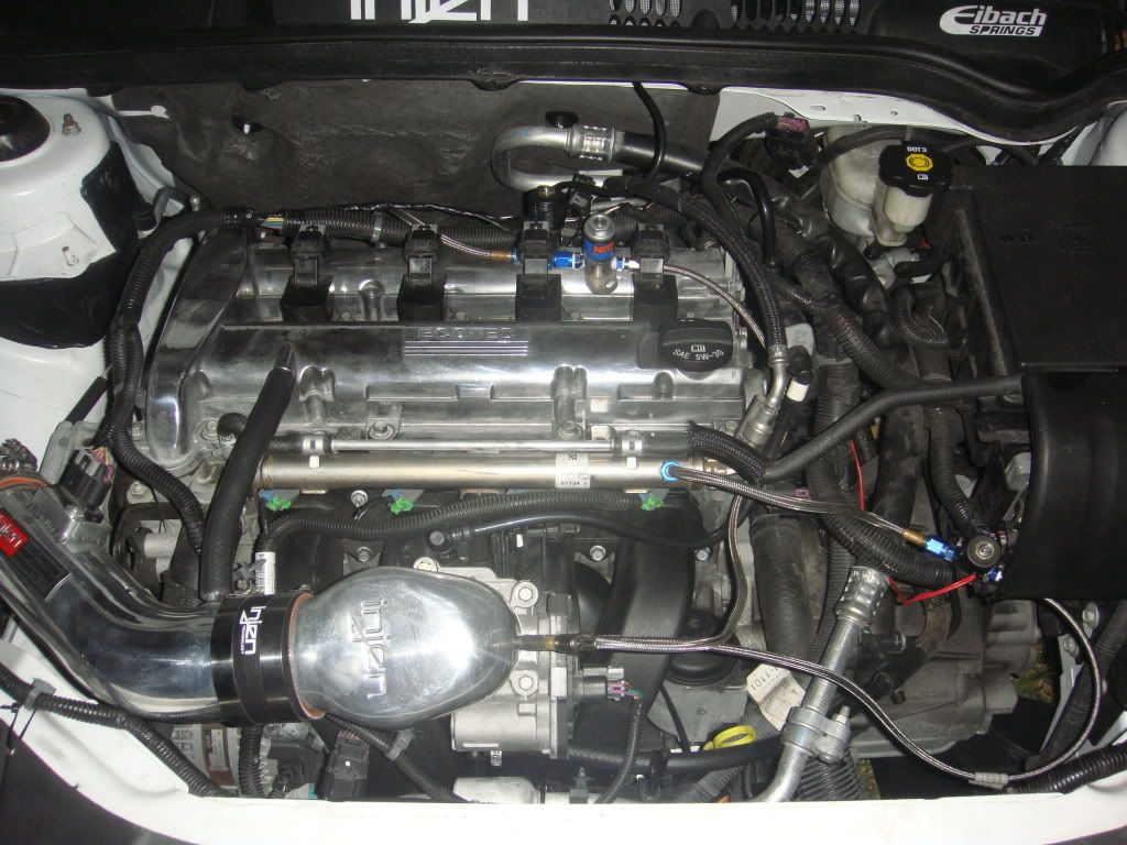 DSC00743.jpg