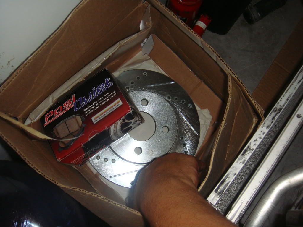 DSC00875.jpg