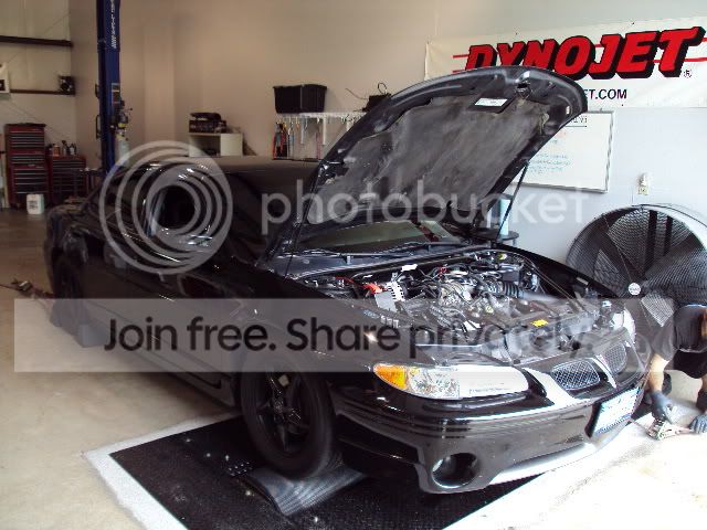 DSC01736-1.jpg