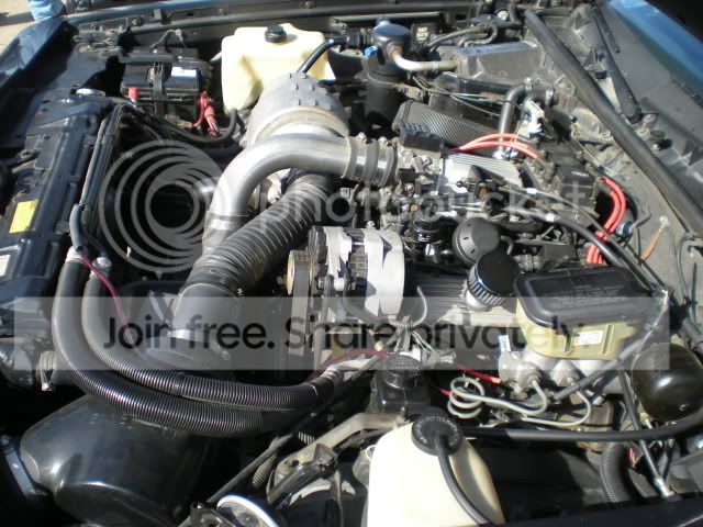 DSCN0925.jpg