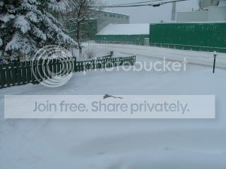 tempete003.jpg