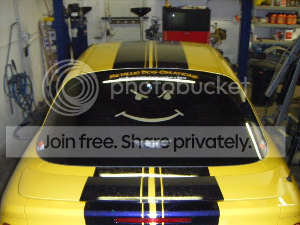 paintjob060.jpg