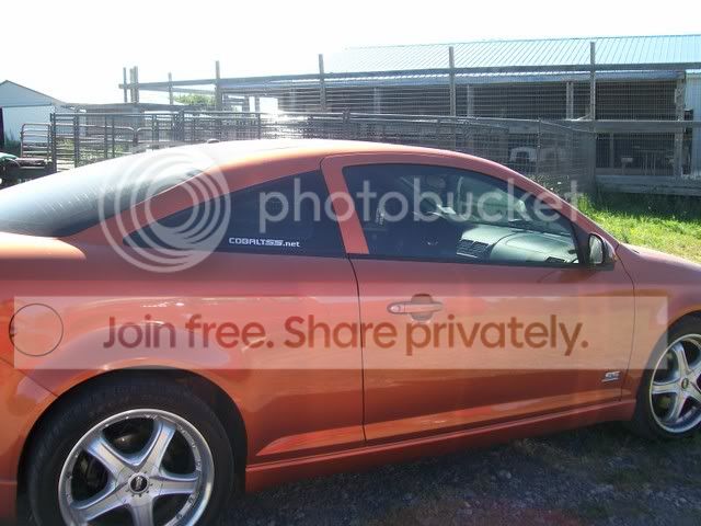 Picturec743301.jpg