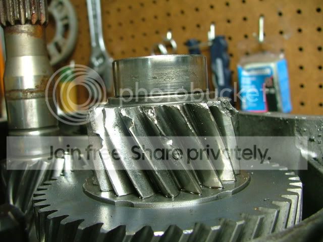 DSCF9974.jpg