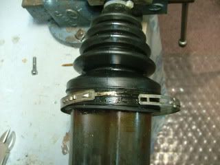 DSCF0274.jpg
