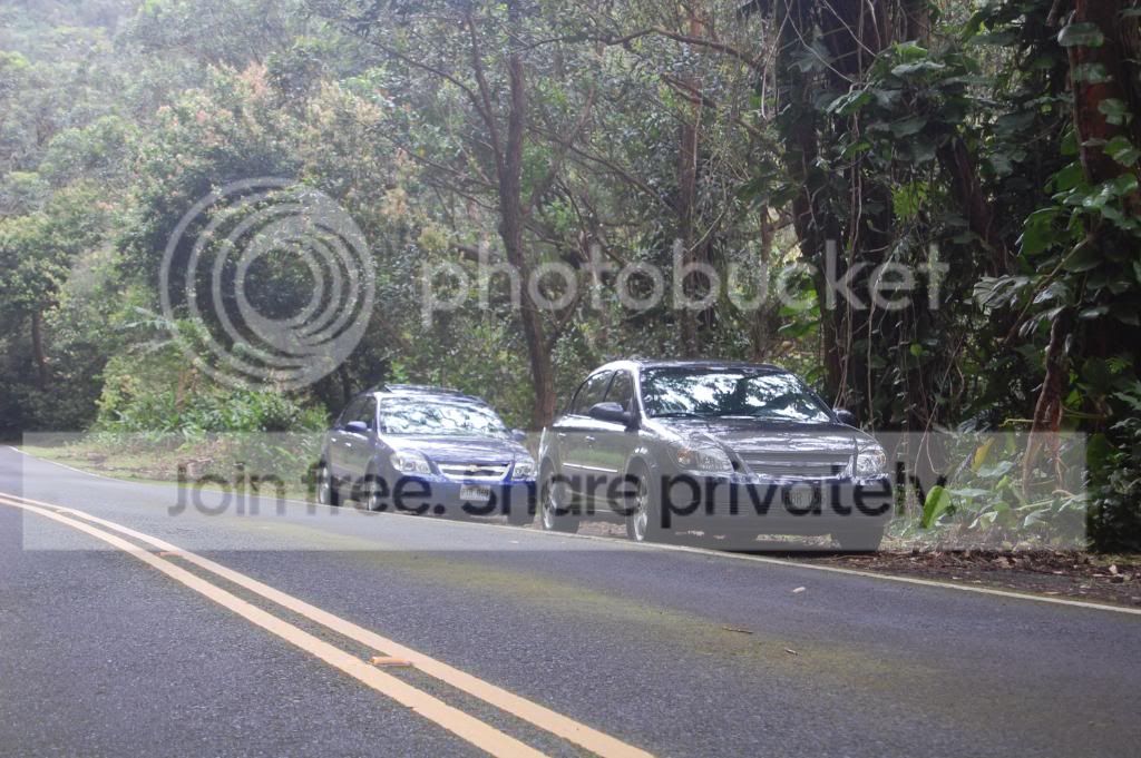 DSC_0398.jpg