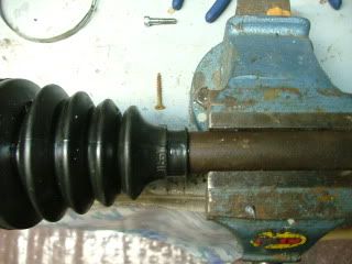 DSCF0277.jpg