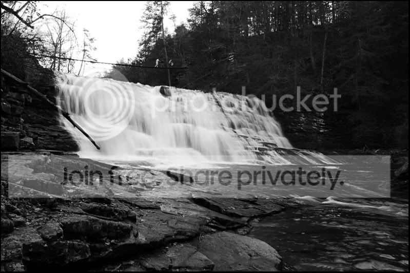 DSC_0154.jpg