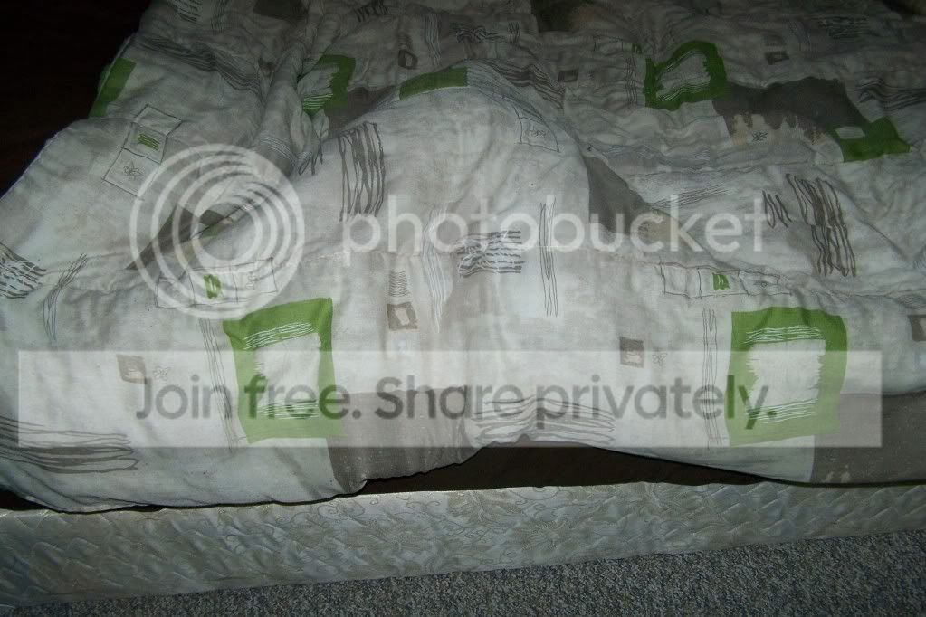 undercover001.jpg