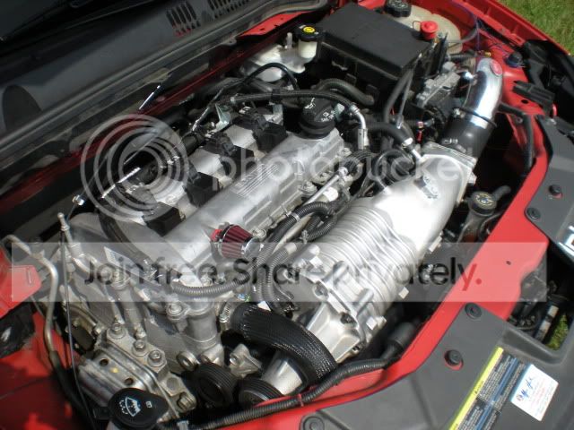 DSCN1031.jpg